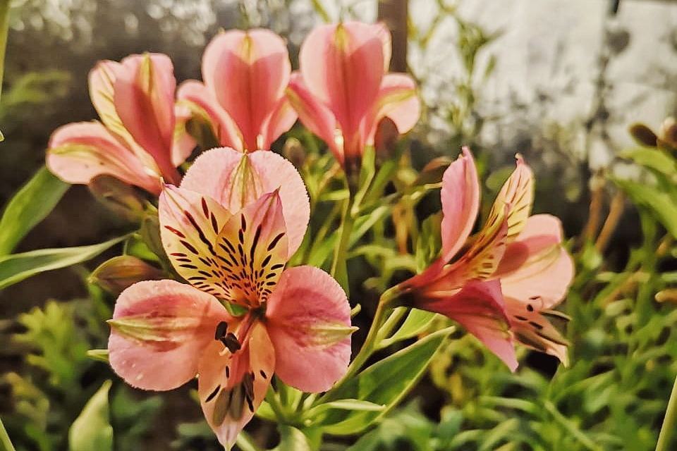 IMG-20200228-WA0012-02