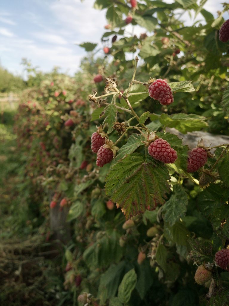 IMG_20191229_191821-01