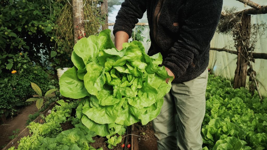 IMG_20200529_130207-01