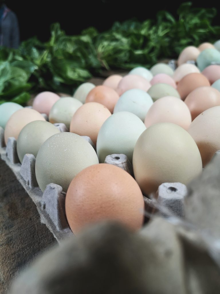 IMG_20200815_110445-01