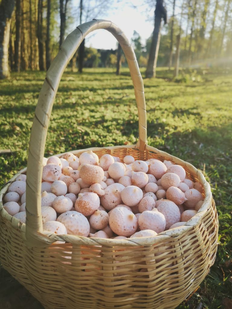 IMG_20201016_193041-01