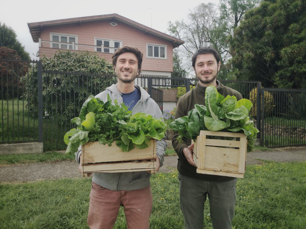 IMG_20201026_133901-01