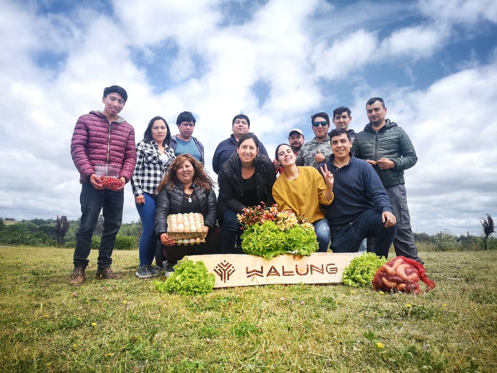 IMG_20201223_125340-01-01