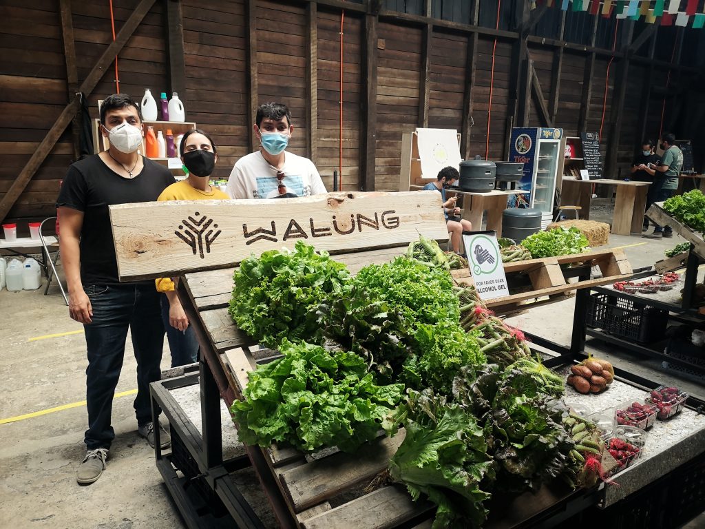 IMG_20201223_155704-01